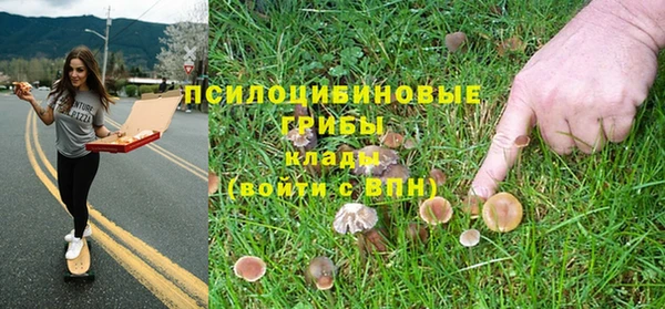 трава Балахна