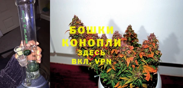 ПСИЛОЦИБИНОВЫЕ ГРИБЫ Балабаново