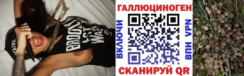 Псилоцибиновые грибы мицелий  дарк нет клад  Отрадная  купить  цена 